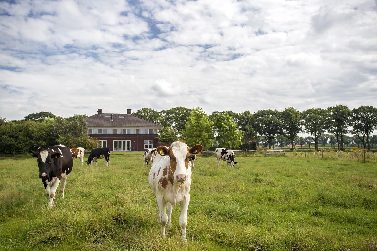 Villa Het Bascour Holthees Exterior photo